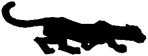 PantherProductions